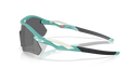 Oakley Radar Plate