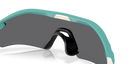 Oakley Radar Plate