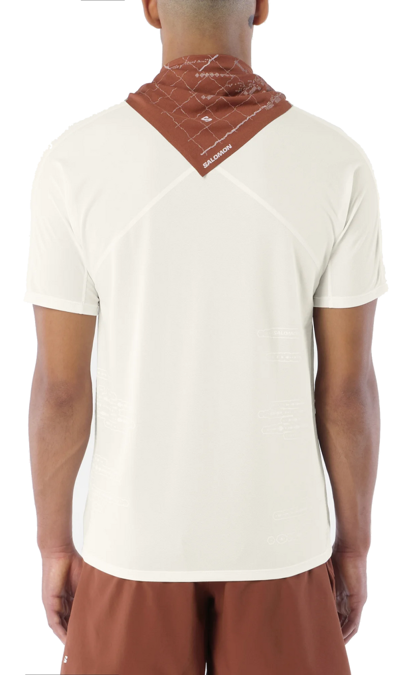 Salomon Sense Aero Ss Tee Gfx - second image