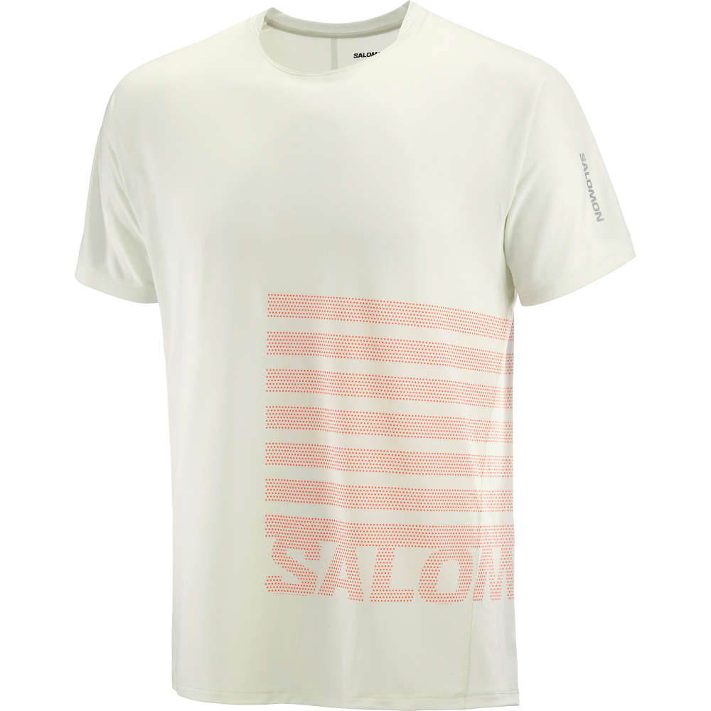 Salomon Sense Aero Ss Tee Gfx M