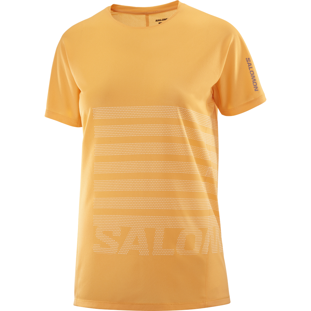 Salomon Sense Aero Ss Tee Gfx W