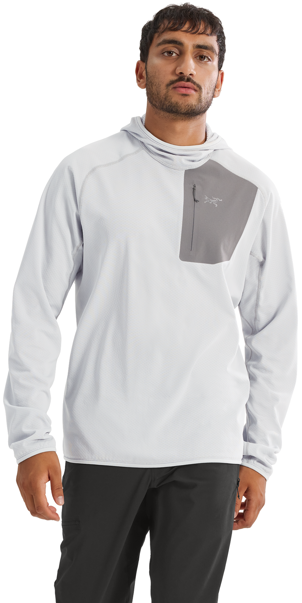 Arcteryx Delta Hoody M