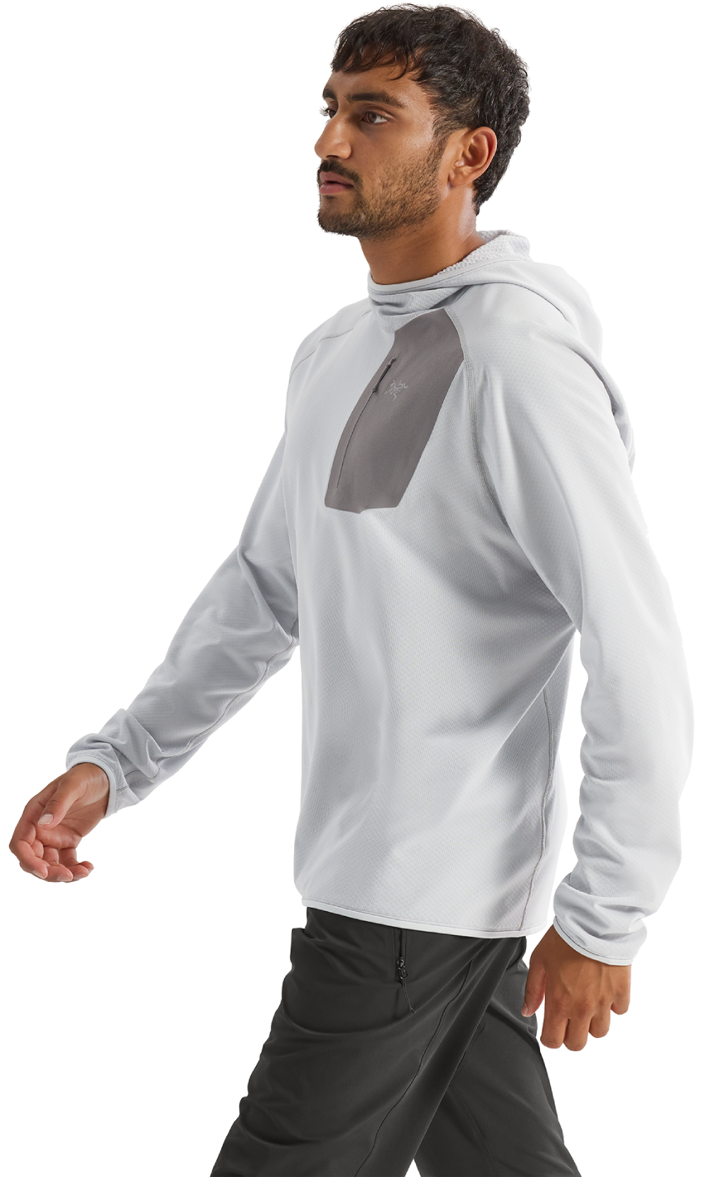 Arcteryx Delta Hoody M