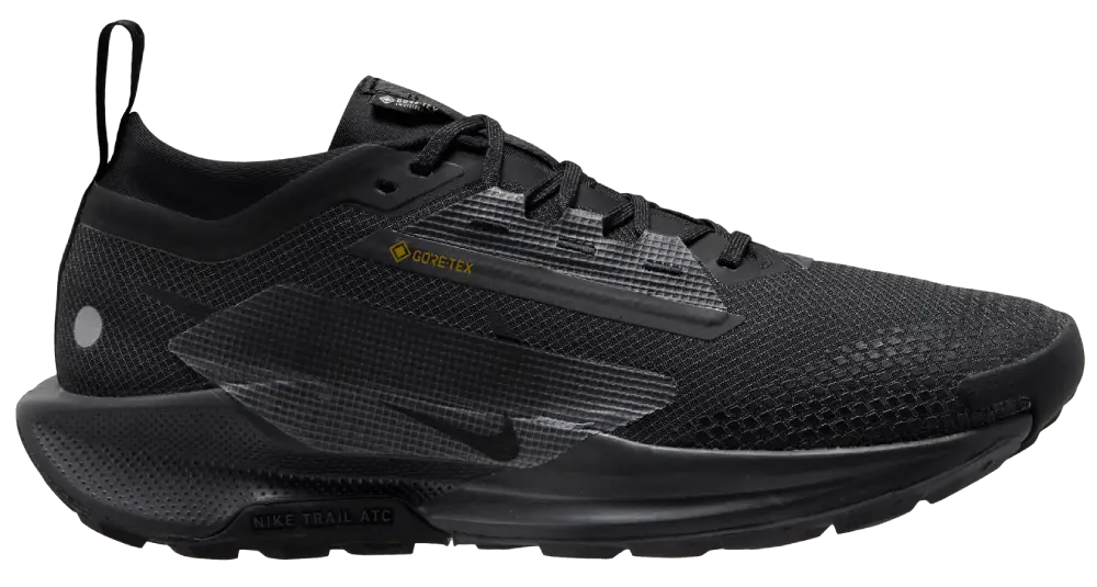 Chaussures Running Nike Pegasus Trail 5 Goretex Quatorze Running