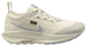 Nike Pegasus Trail 5 Goretex