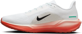 Nike Pegasus 41 Ek