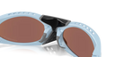 Oakley Plantaris