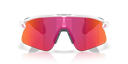 Oakley Stunt Devil